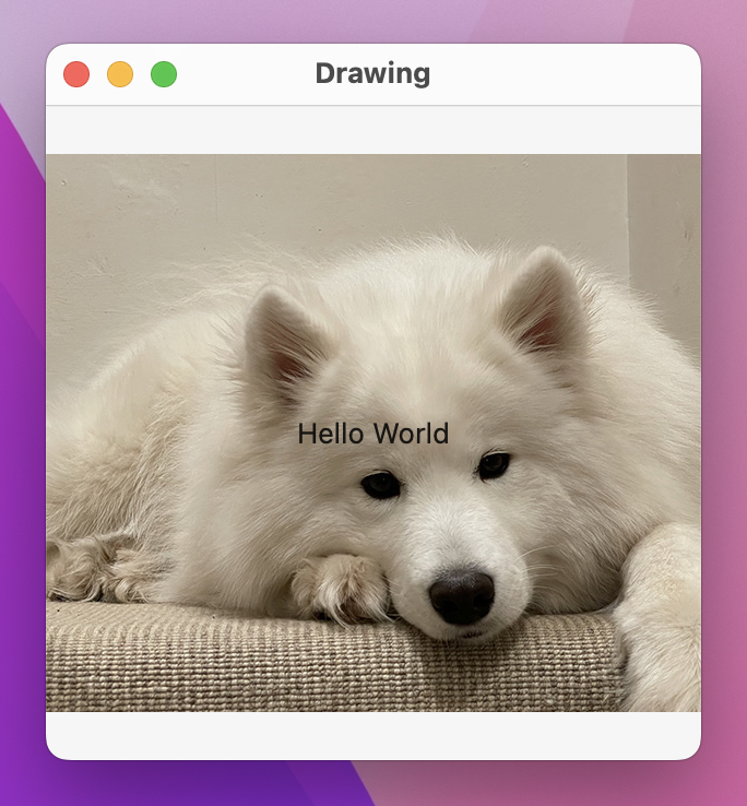 'Hello World' over an adorable dog photo.