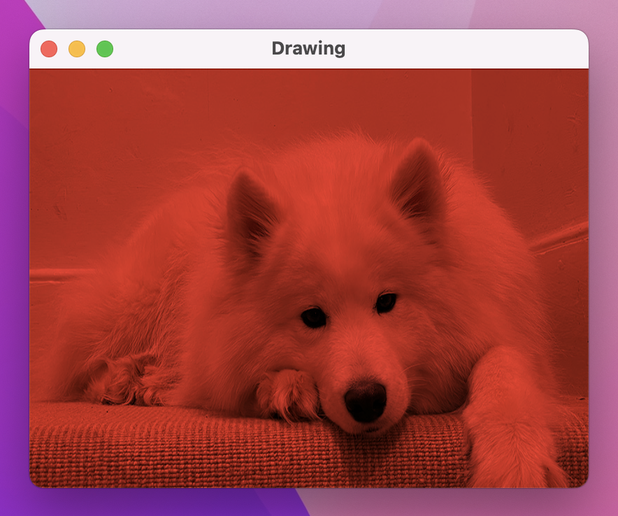 A dog photo tinted red.